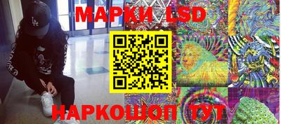 спайс Новодвинск