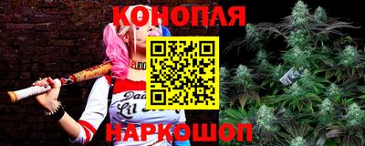 спайс Новодвинск