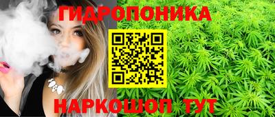 спайс Новодвинск