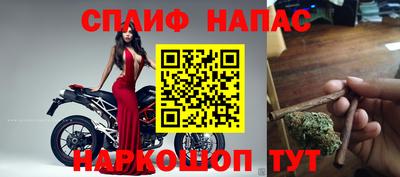 ECSTASY Новокубанск